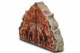 Tall Arizona Petrified Wood Bookends - Brick Red #382162-2